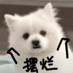 NANIMONO 的头像